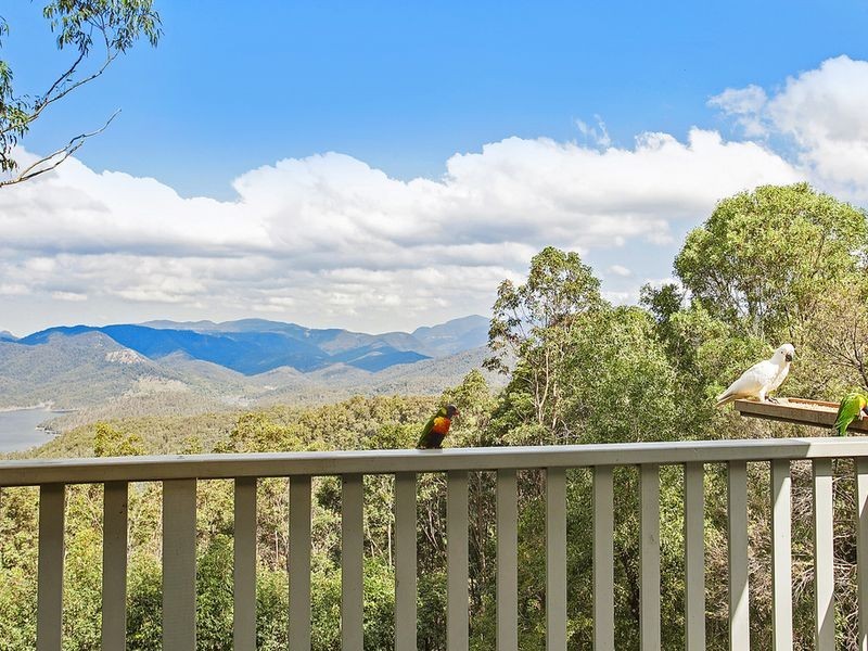 643 Beechmont Road, Lower Beechmont QLD 4211