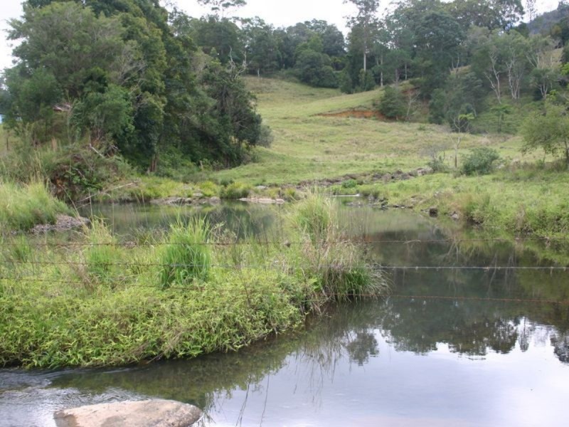 3138 Nerang Murwillumbah Road, Natural Bridge QLD 4211