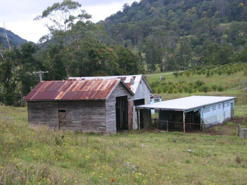 3138 Nerang Murwillumbah Road, Natural Bridge QLD 4211