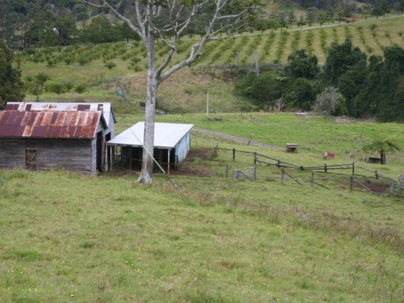 3138 Nerang Murwillumbah Road, Natural Bridge QLD 4211