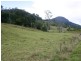 3138 Nerang Murwillumbah Road, Natural Bridge QLD 4211