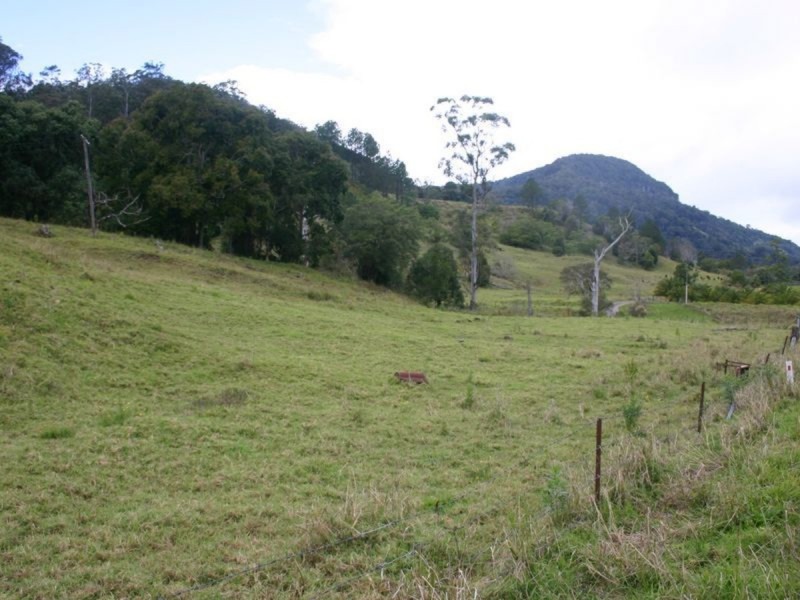 3138 Nerang Murwillumbah Road, Natural Bridge QLD 4211