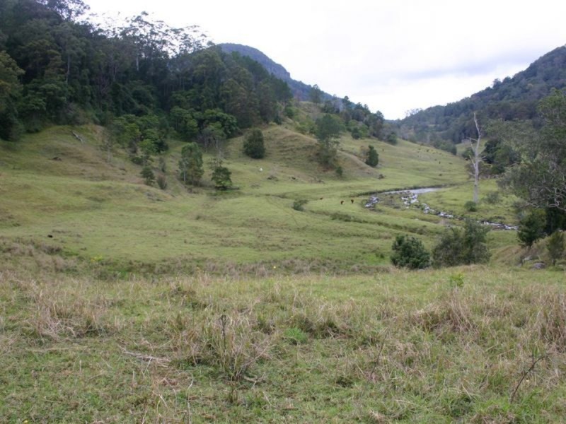 3138 Nerang Murwillumbah Road, Natural Bridge QLD 4211