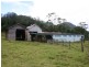 3138 Nerang Murwillumbah Road, Natural Bridge QLD 4211