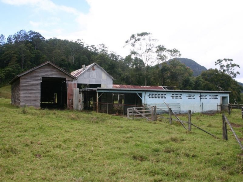 3138 Nerang Murwillumbah Road, Natural Bridge QLD 4211