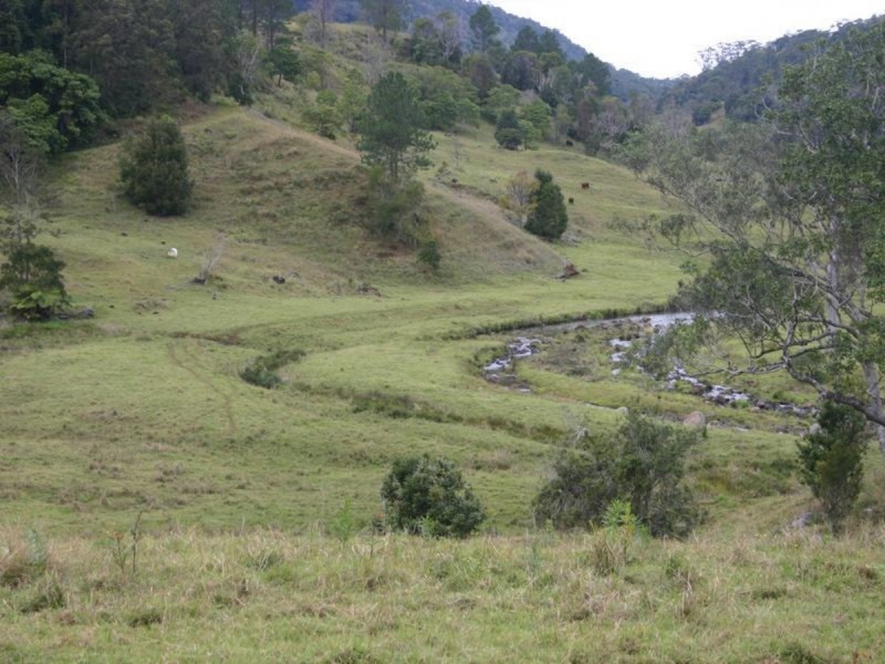 3138 Nerang Murwillumbah Road, Natural Bridge QLD 4211
