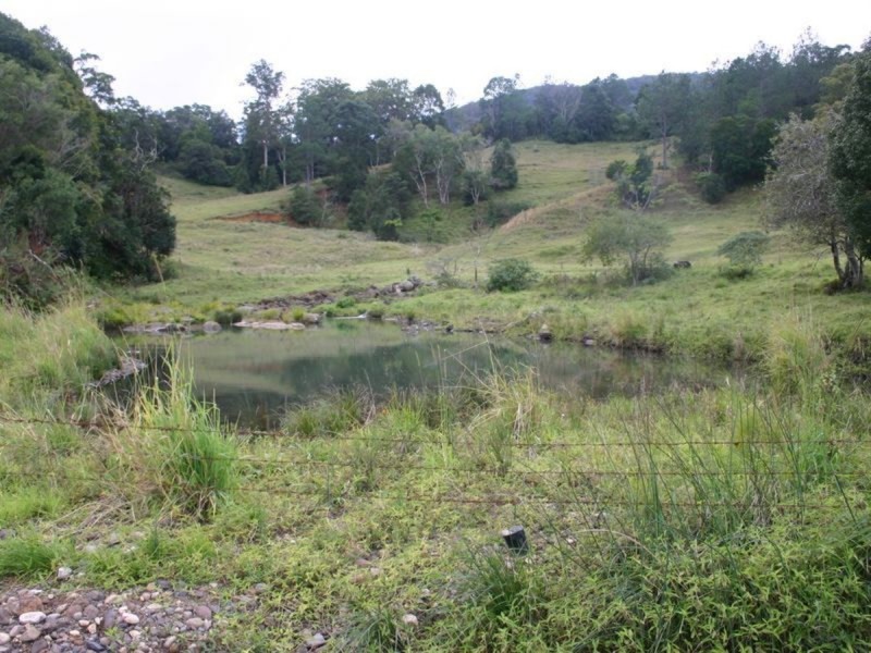 3138 Nerang Murwillumbah Road, Natural Bridge QLD 4211