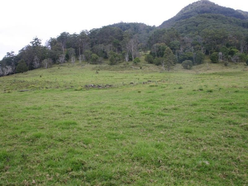 3182 Nerang Murwillumbah Road, Natural Bridge QLD 4211