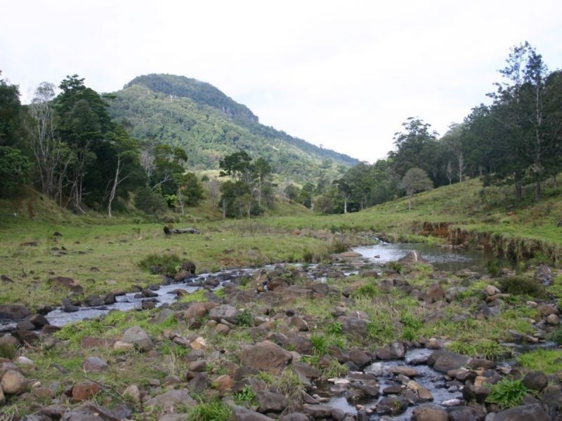 3182 Nerang Murwillumbah Road, Natural Bridge QLD 4211