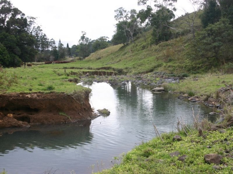 3182 Nerang Murwillumbah Road, Natural Bridge QLD 4211