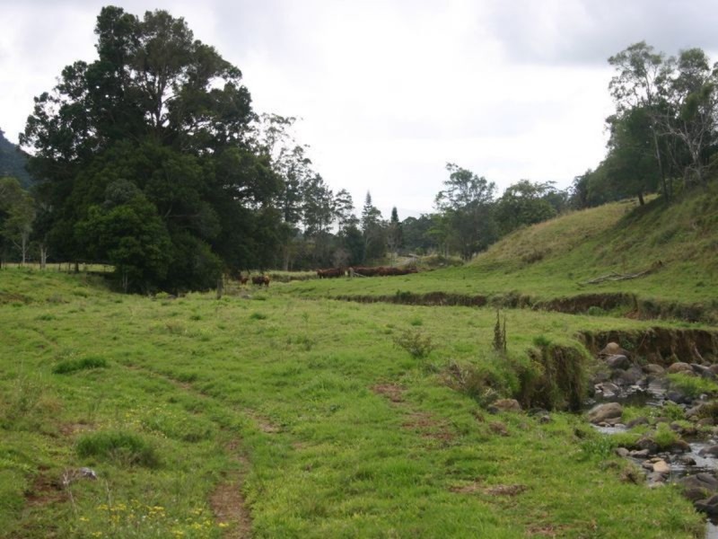 3182 Nerang Murwillumbah Road, Natural Bridge QLD 4211