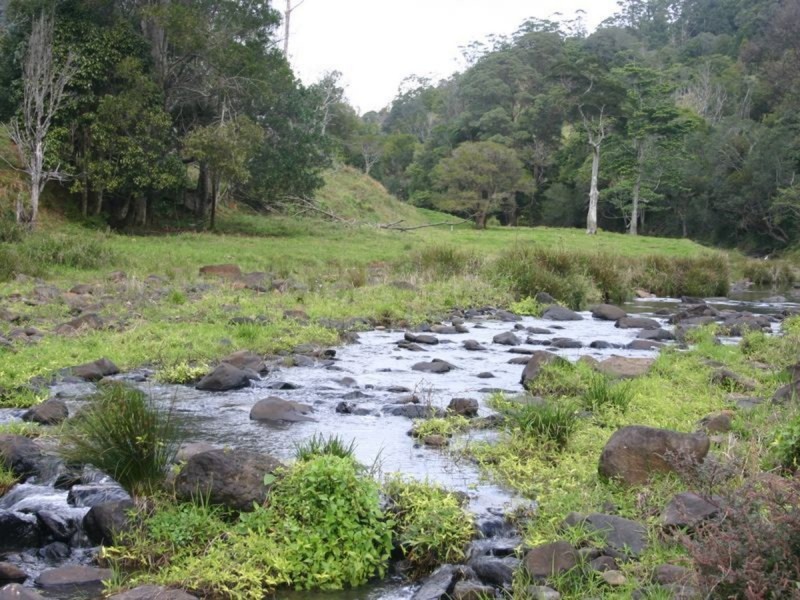 3182 Nerang Murwillumbah Road, Natural Bridge QLD 4211