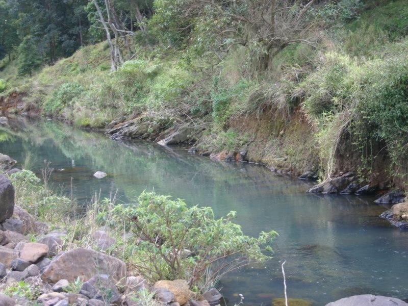 3182 Nerang Murwillumbah Road, Natural Bridge QLD 4211