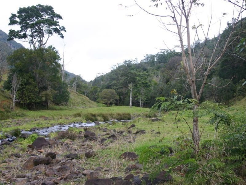 3182 Nerang Murwillumbah Road, Natural Bridge QLD 4211