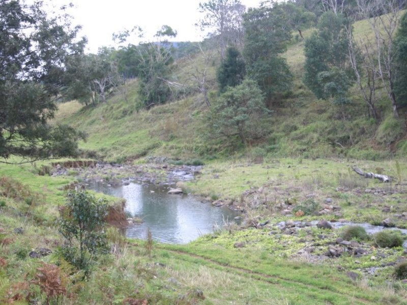 3182 Nerang Murwillumbah Road, Natural Bridge QLD 4211