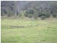 3182 Nerang Murwillumbah Road, Natural Bridge QLD 4211