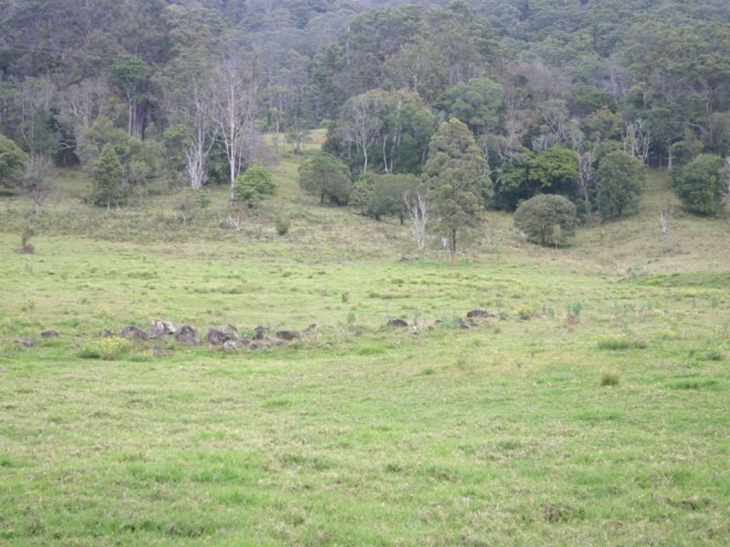 3182 Nerang Murwillumbah Road, Natural Bridge QLD 4211