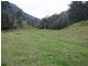 3182 Nerang Murwillumbah Road, Natural Bridge QLD 4211