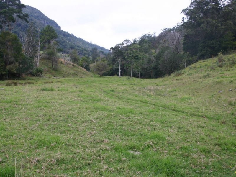 3182 Nerang Murwillumbah Road, Natural Bridge QLD 4211