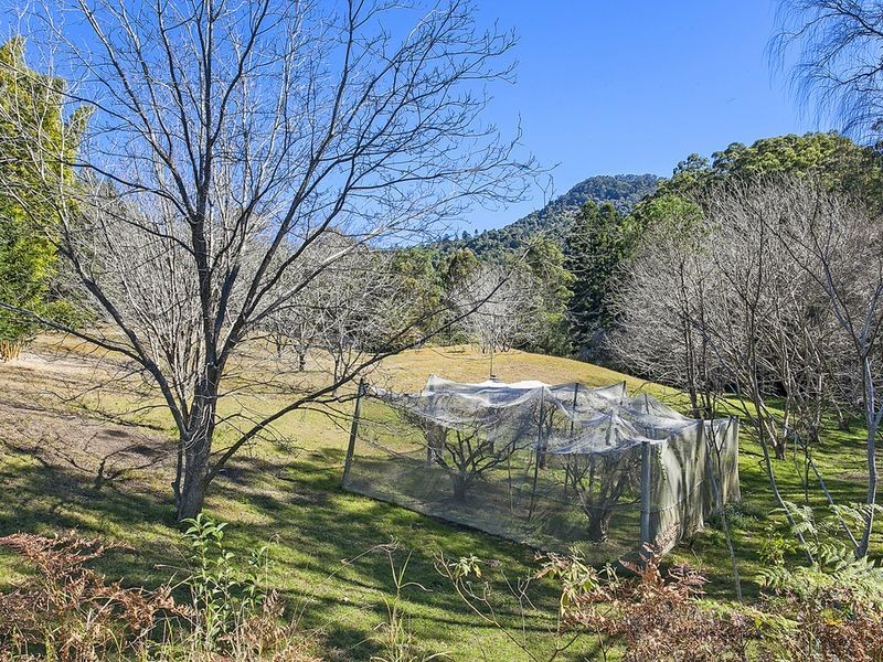 2 Shay Place, Canungra QLD 4275
