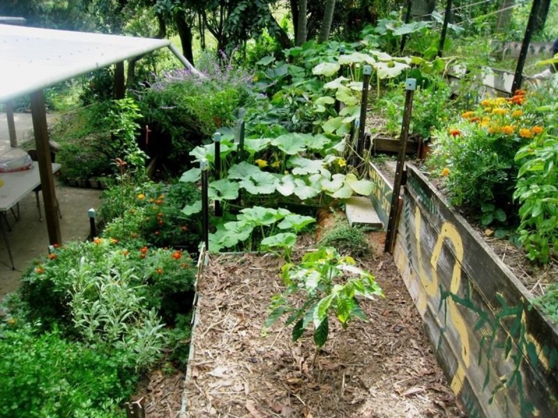 2925 Nerang Murwillumbah Road, Natural Bridge QLD 4211