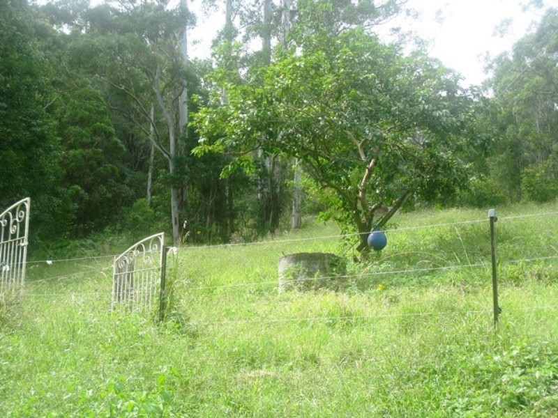 2925 Nerang Murwillumbah Road, Natural Bridge QLD 4211