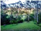 2925 Nerang Murwillumbah Road, Natural Bridge QLD 4211