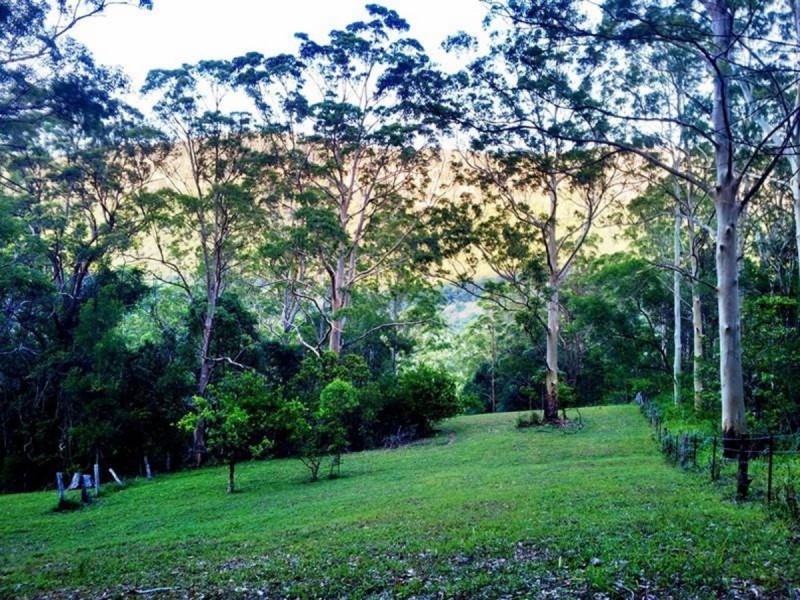 2925 Nerang Murwillumbah Road, Natural Bridge QLD 4211