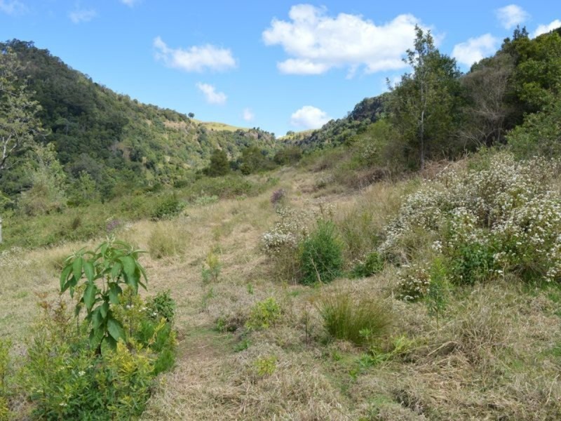 20 Flying Fox Road, Beechmont QLD 4211