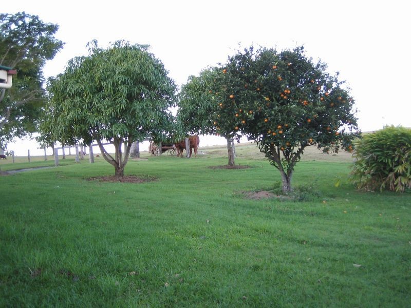 29 Birds Road, Maudsland QLD 4210