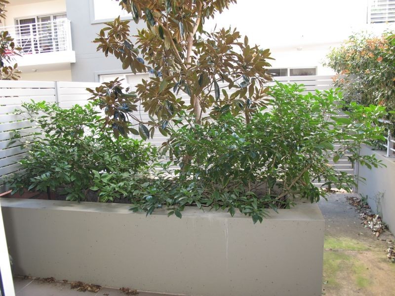 52/1 Boulton Drive, Nerang QLD 4211