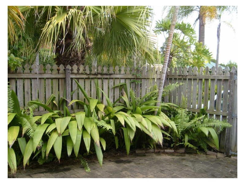 17/1 Kilpatrick Court, Highland Park QLD 4211