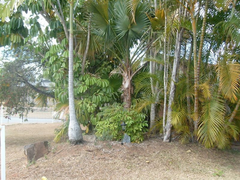 1 Hyde Court, Nerang QLD 4211