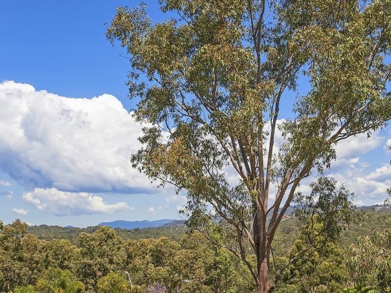 8 Sevenoaks Court, Worongary QLD 4213