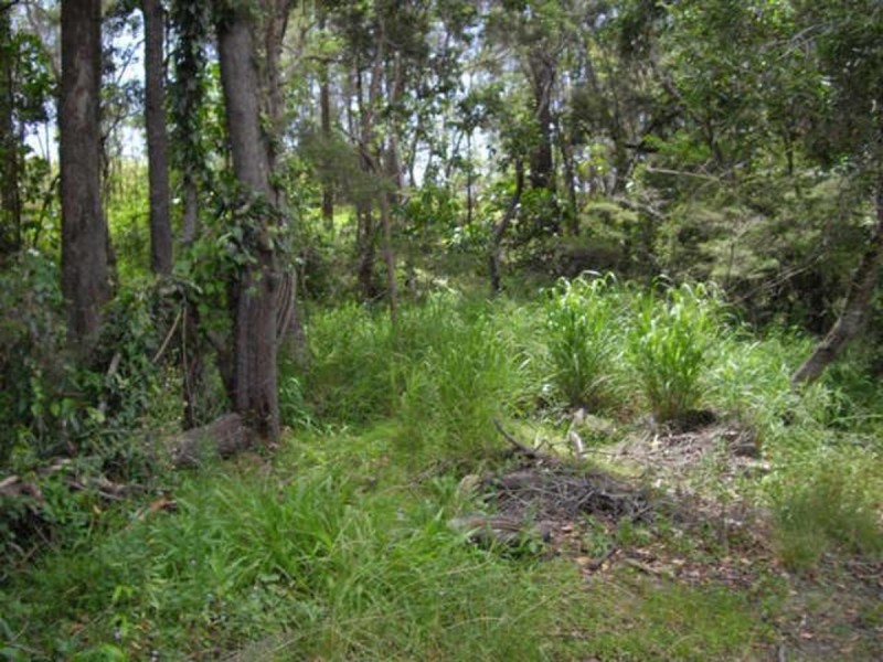 21 Orlando Court, Highland Park QLD 4211