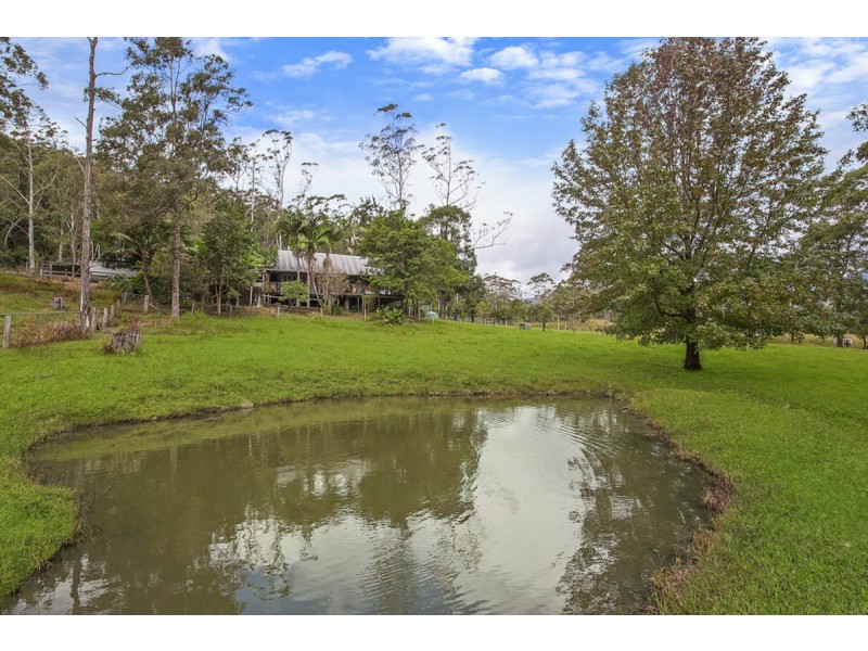 2941 Nerang-Murwillumbah Road, Natural Bridge QLD 4211