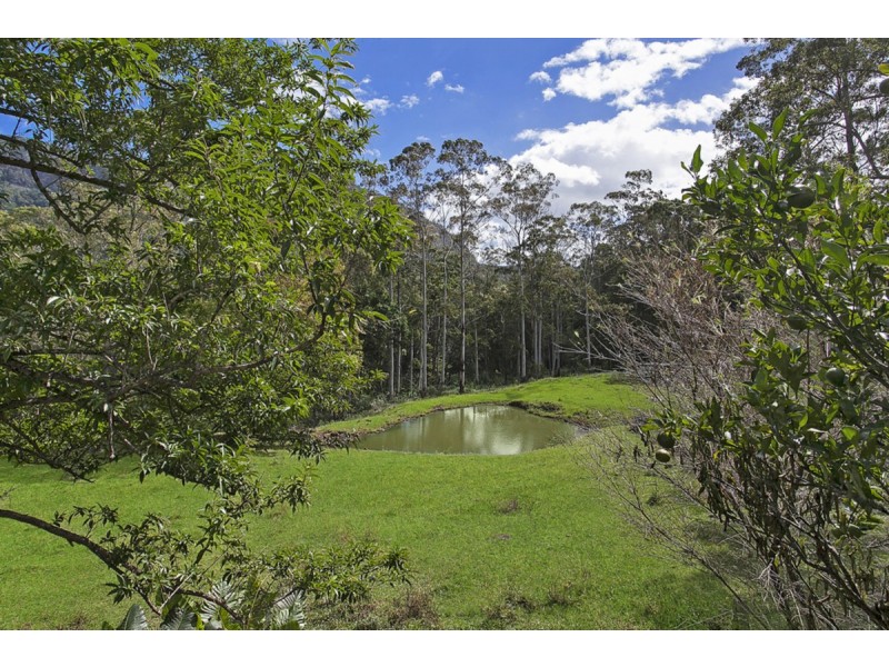 2941 Nerang-Murwillumbah Road, Natural Bridge QLD 4211