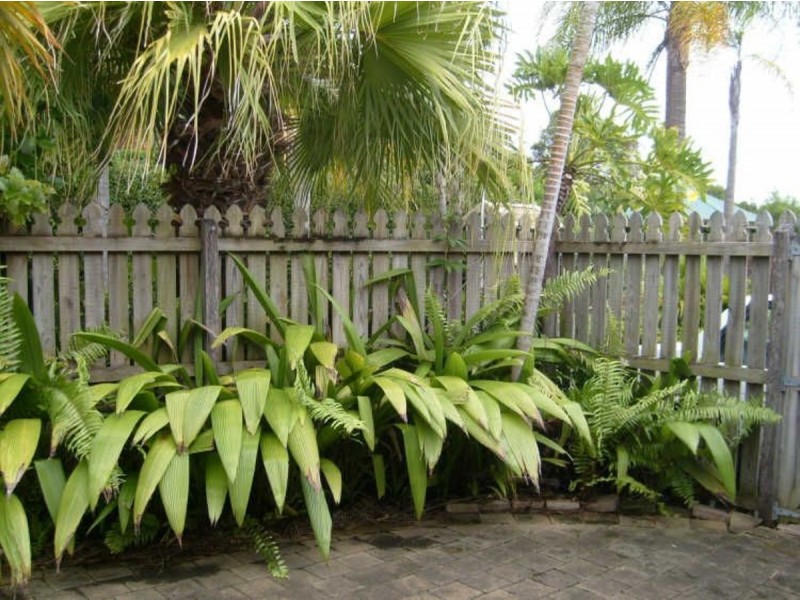 17/1 Kilpatrick Court, Highland Park QLD 4211