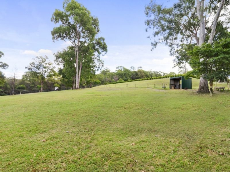 59 Billabirra Crescent, Nerang QLD 4211