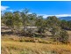 308 Guanaba Creek Road, Guanaba QLD 4210