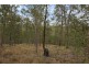 286 Nerang Murwillumbah Road, Clagiraba QLD 4211