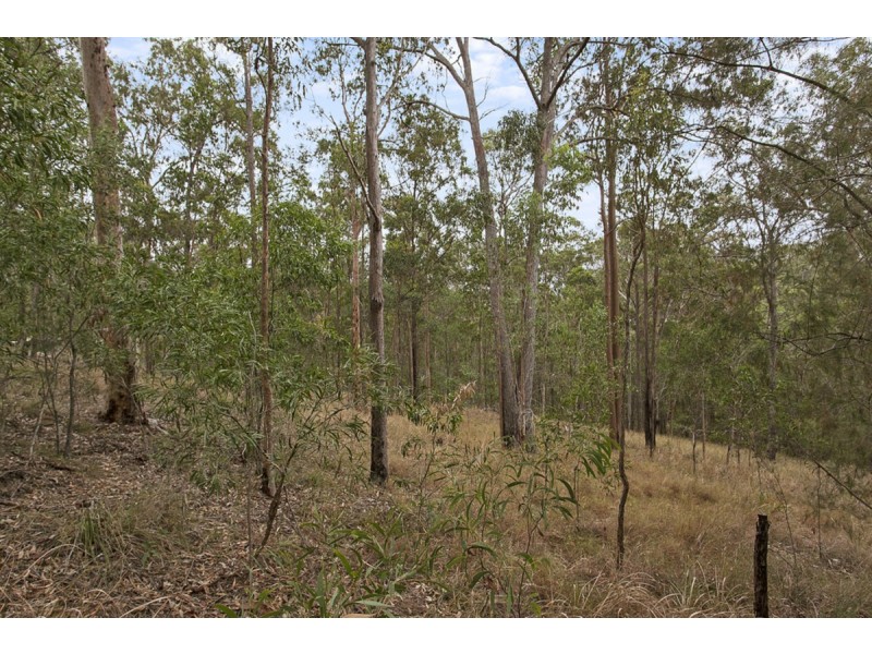 286 Nerang Murwillumbah Road, Clagiraba QLD 4211
