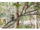 113 Clagiraba Road, Clagiraba QLD 4211