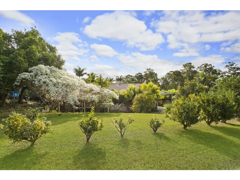 121 Dugandan Street, Nerang QLD 4211