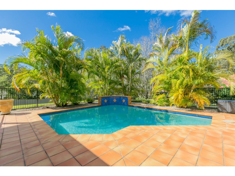 65 Lawnhill Drive, Nerang QLD 4211