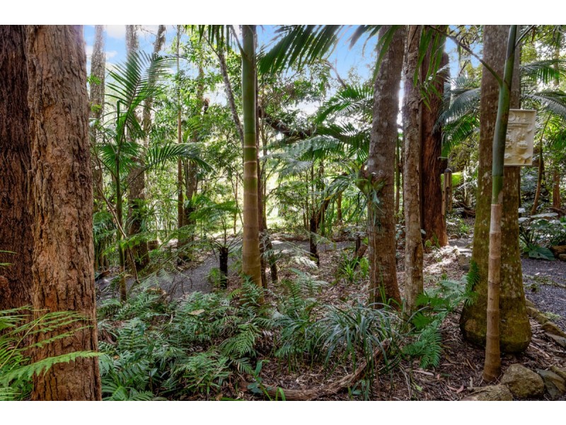 43 Gwongarella Parade, Springbrook QLD 4213