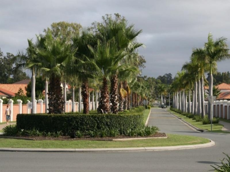 250/64 Gilston Road, Nerang QLD 4211