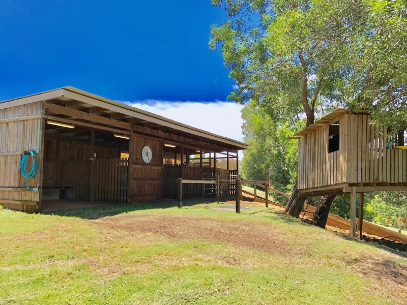 14 Bush Knoll Place, Mount Nathan QLD 4211