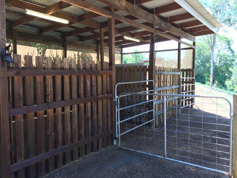 14 Bush Knoll Place, Mount Nathan QLD 4211