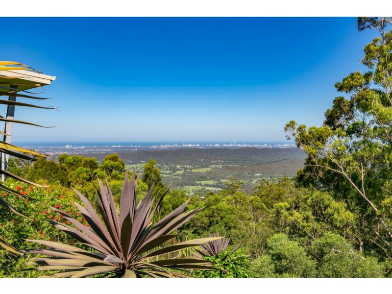 181 Guanaba Road, Tamborine Mountain QLD 4272